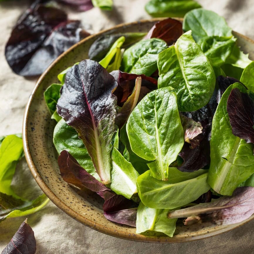 Baby Organic Greens Salad.