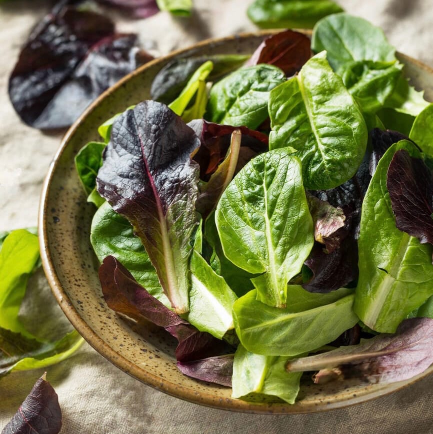 Baby Organic Greens Salad.